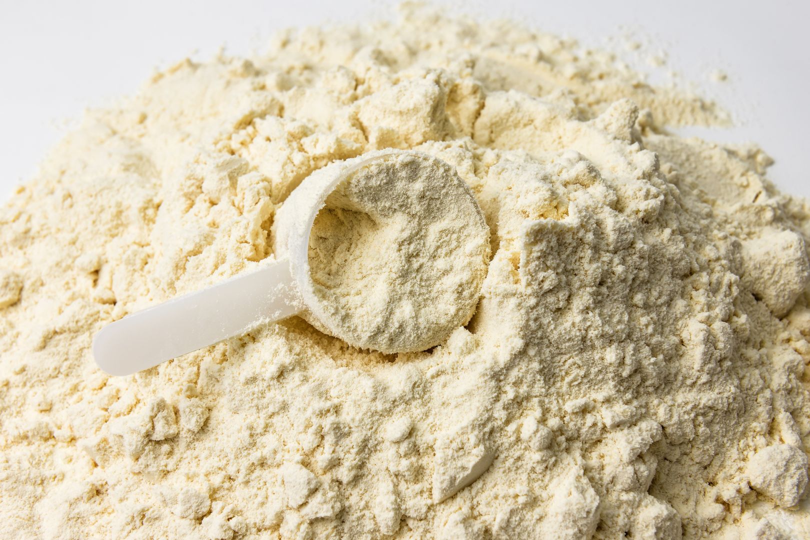 melhor whey protein isolado para iniciantes