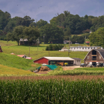 Como Identificar Falhas no Sistema de Esgoto Rural